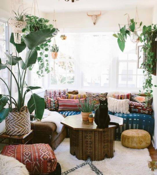 Add Some Greenery to Your Living Room