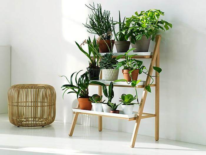 Outdoor Plant Rack Stands for Multiple Plants