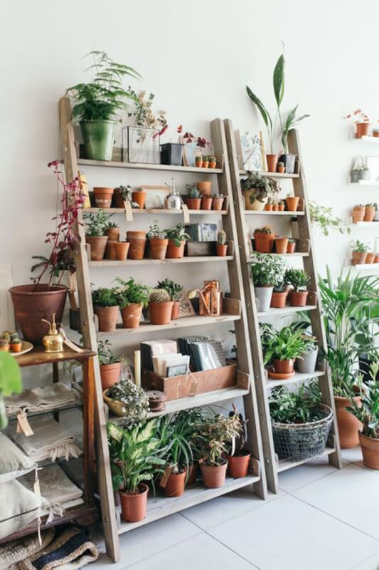 Plant Shelf Ideas