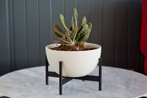 Small Plant Stand