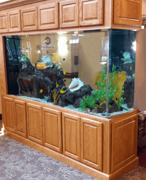 Aquarium Furniture Stand With Storage Ideas