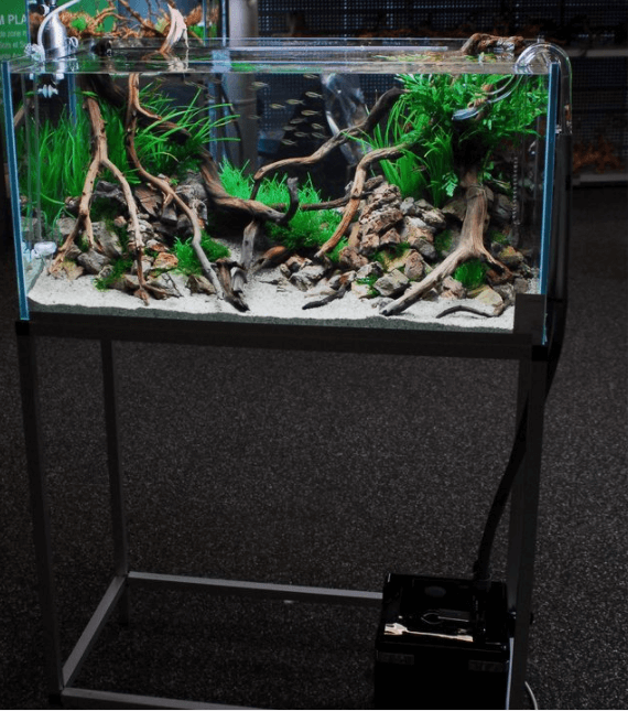 Driftwood Fish tank Furniture Ideas