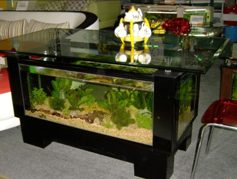 Fish Aquarium Stands