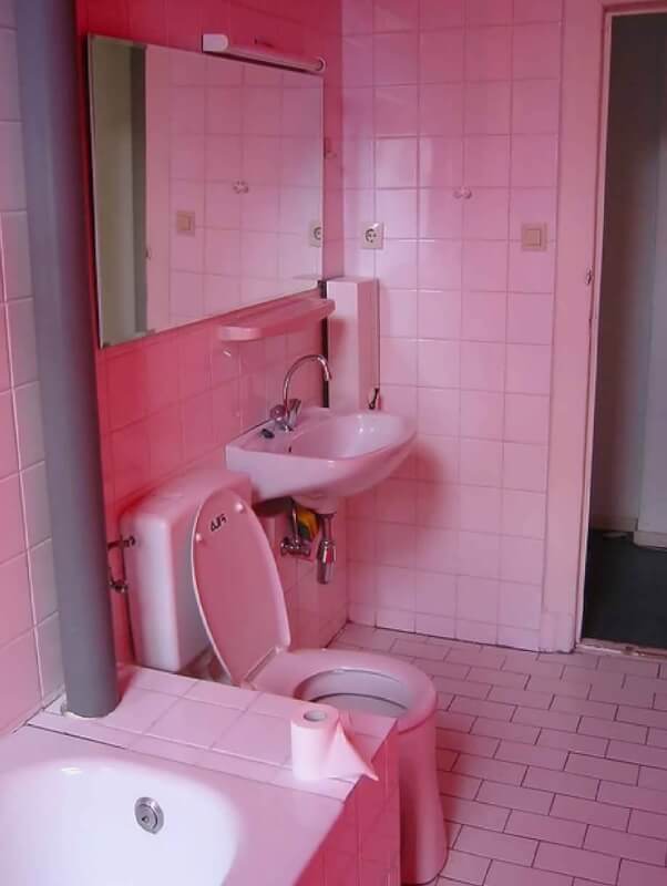 pink bathroom mold